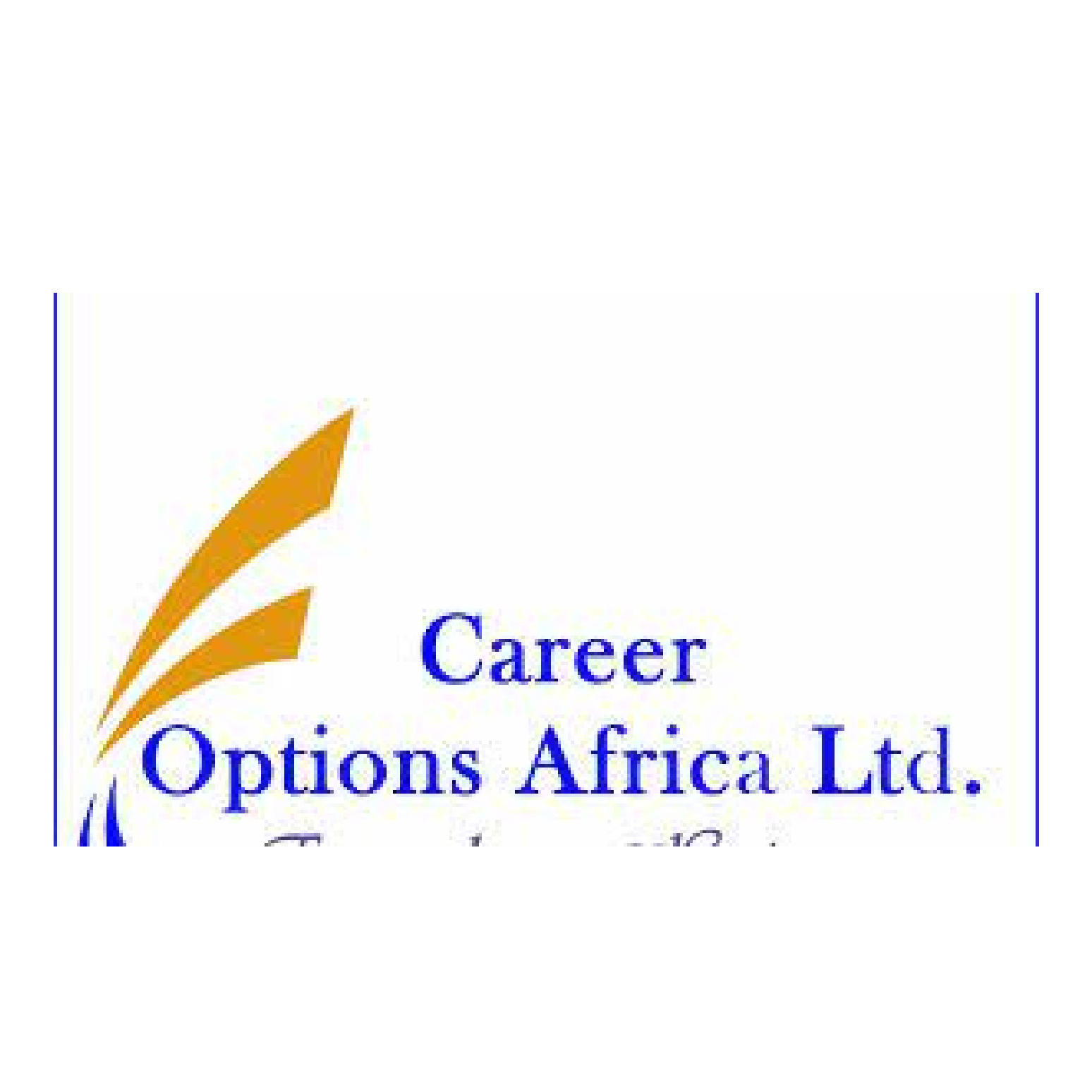 Career Options Africa Group