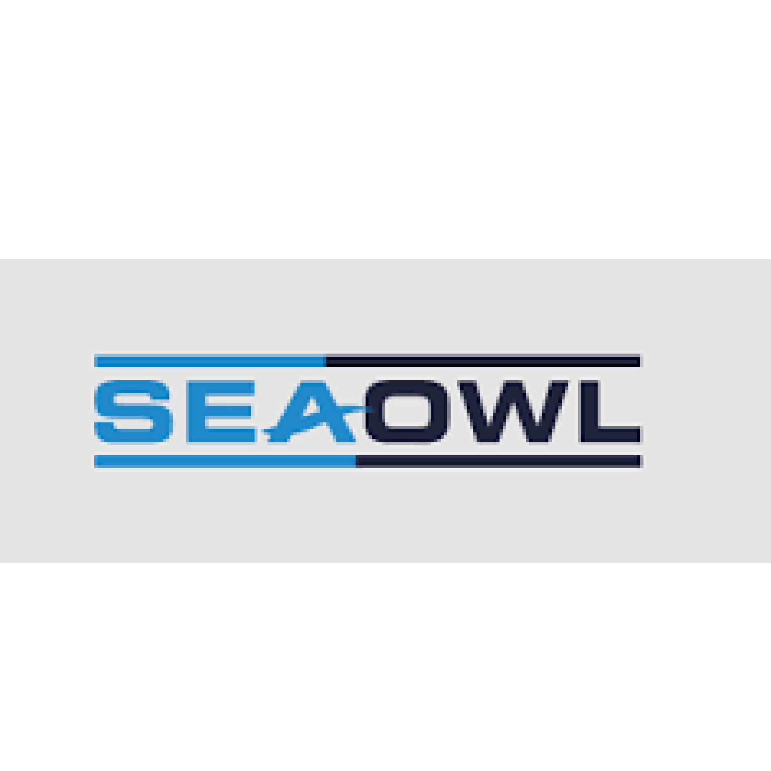 SeaOwl Group