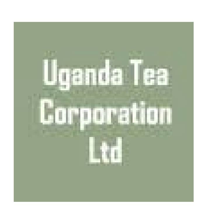 Uganda Tea Corporation Limited (UTCL)