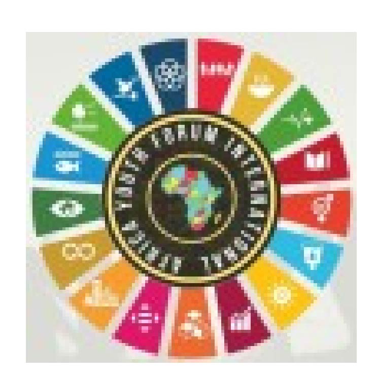 Africa Youth Forum International (AYFI)