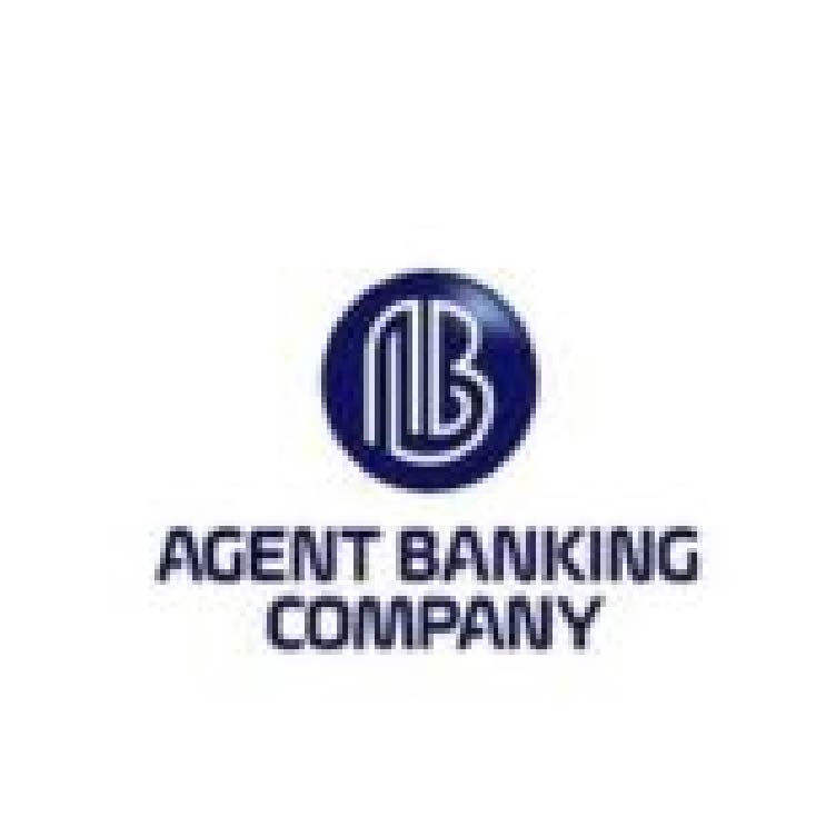 The Agent Banking Company