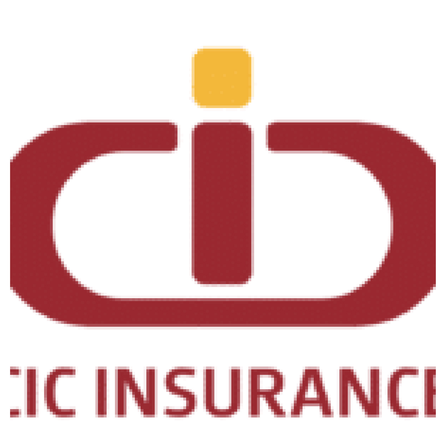 CIC Insurance