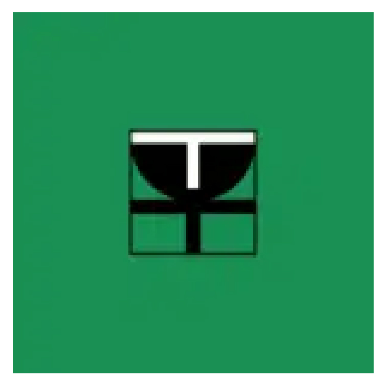 Balaji Group (EA) LTD