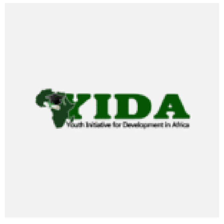 Youth Initiative for Development