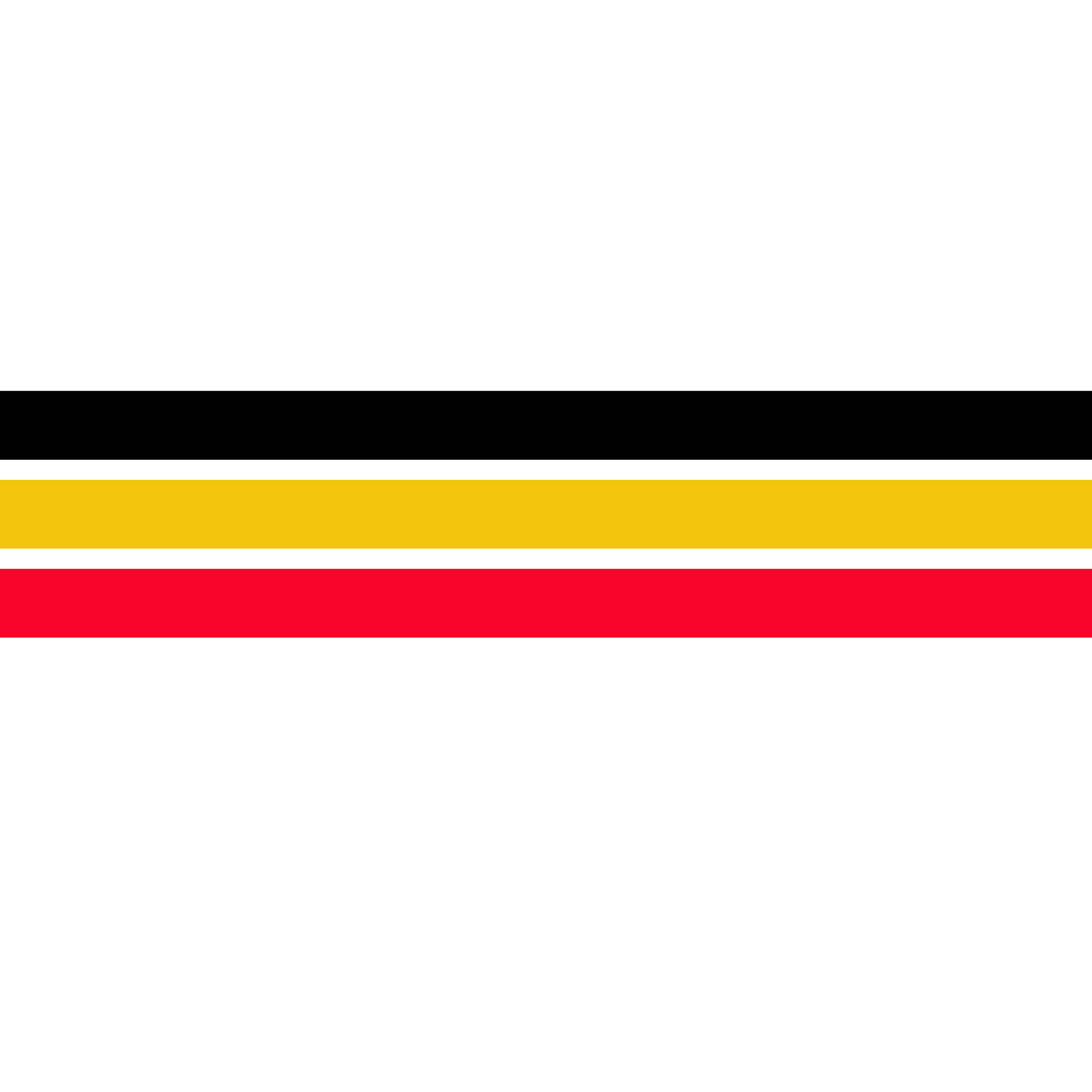 Mubende District service Commision