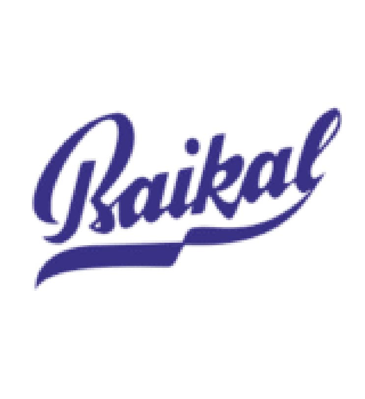Baikal Financial Services Limited