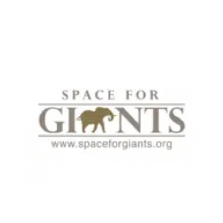 Space for Giants